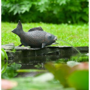 Vízköpő hal XL