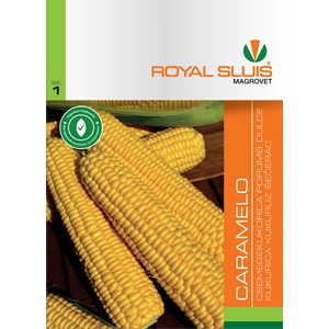 Royal Sluis Kukorica Caramelo vetőmag