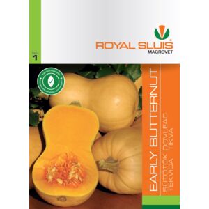 Royal Sluis Tök Early Butternut vetőmag 3g