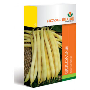 Royal Sluis Bab Goldmine vetőmag 75g