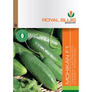 Royal Sluis Uborka Mohikán F1 vetőmag 1g