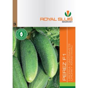 Royal Sluis Uborka Perez F1 vetőmag 0,1g