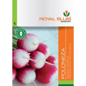 Royal Sluis Retek Poloneza vetőmag 3g