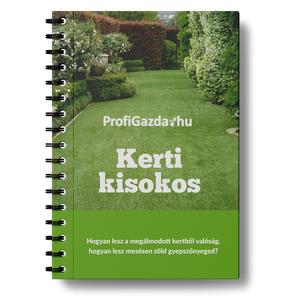 Kiskerti kisokos - Hogyan lesz mesésen zöld gyepszőnyeged? Fűmag vetés lépésről lépésre - ingyenesen tudásanyag