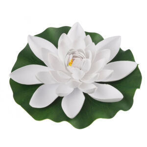 Tavirózsa fehér 28 cm