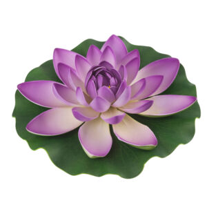 Tavirózsa lila 28 cm