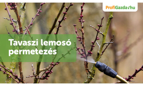 Tavaszi lemosó permetezés ökológiai gazdálkodásban engedélyezett szerekkel