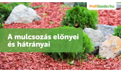 A kerti mulcsozás előnyei és hátrányai: Kinek ajánlott és kinek nem?
