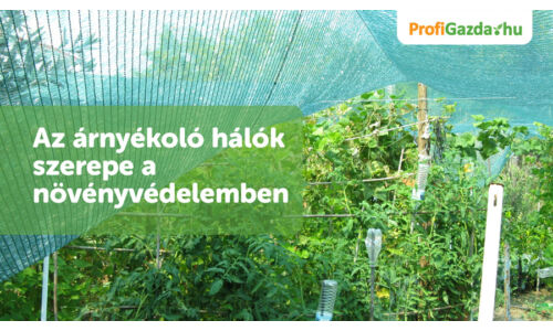 Miért használj árnyékoló hálót a kertben növényeidhez?