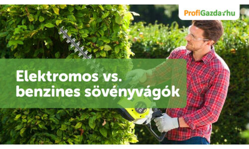 Elektromos vs. benzines sövényvágók. Melyik a jobb választás?