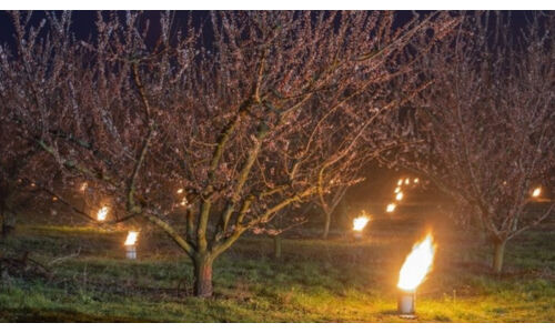 Tavaszi fagyok elleni védekezéshez gyakorlati útmutató