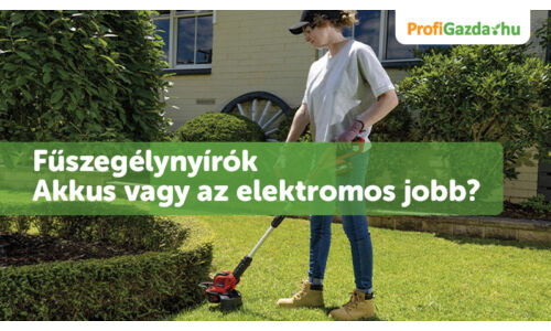 Elektromos vs. akkumulátoros szegélynyíró – Melyik a jobb választás?
