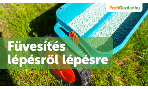 Füvesítés lépésről lépésre – Teljes útmutató kezdőknek