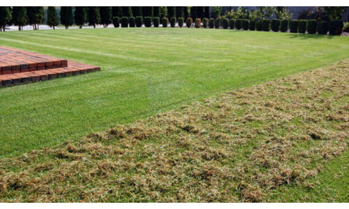 Miért fontos a levegőztetés, gyepszellőztetés?