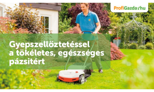 Gyepszellőztetéssel a tökéletes, egészséges pázsitért