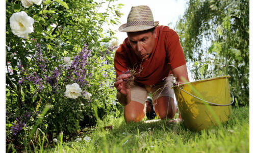 Gyomirtási praktikák