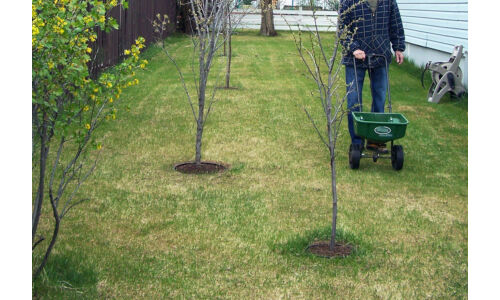 Ősszel is vethetünk