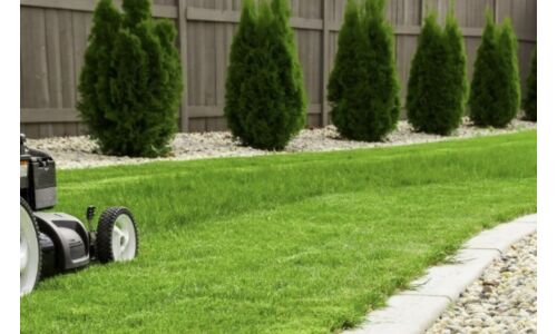 Aktuális tippek a tökéletes gyephez
