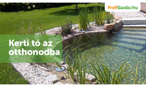 Kerti tó az otthonodba