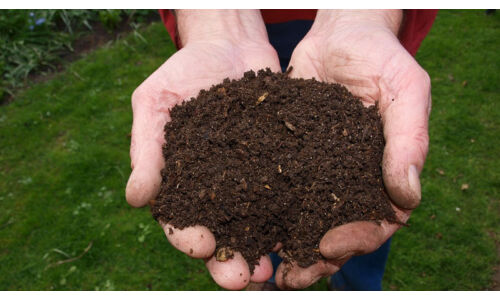 Hogyan komposztáljak? - A komposzt nem szemétdomb