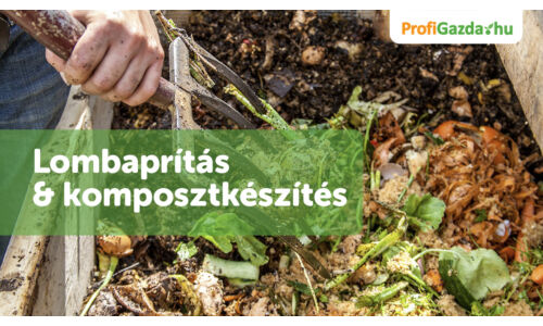 Lombaprítás & komposztkészítés – hogyan hasznosítsd a levélkupacot talajjavításra