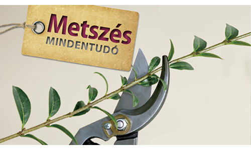 Metszés mindentudó - az alapok