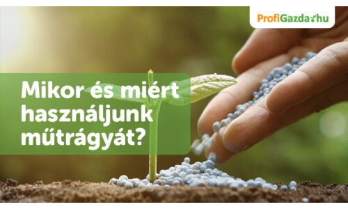 Mikor és miért használjunk műtrágyát?