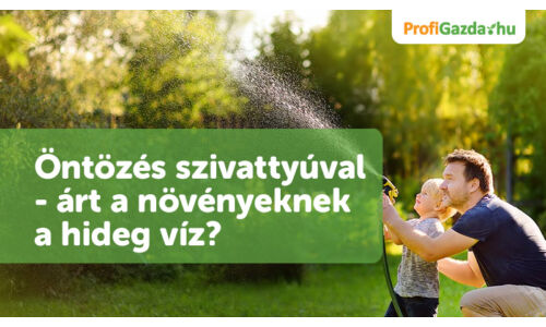 Öntözés szivattyúval - árt a növényeknek a hideg víz?