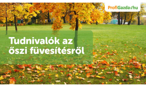 Tudnivalók az őszi füvesítésről 