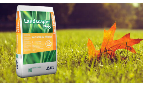 Gyeptrágyázás ősszel