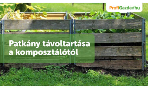 Patkány távoltartása a komposztálótól