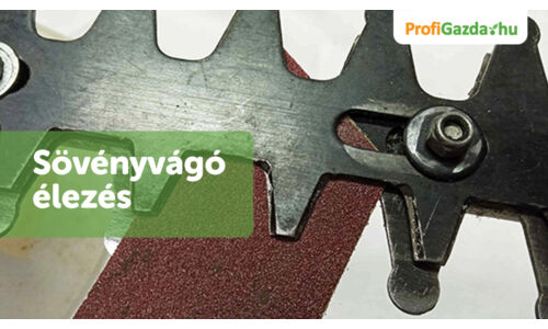 Sövényvágó pengeélezés otthon – tippek-trükkök