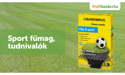 Sport fűmag – tudnivalók