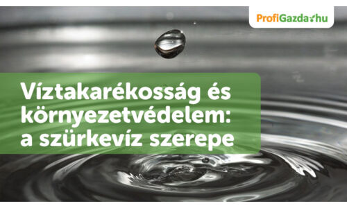 Víztakarékosság és környezetvédelem: a szürkevíz szerepe