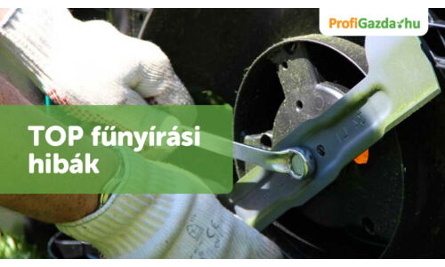 Top fűnyírási hibák és hogyan kerüld el őket