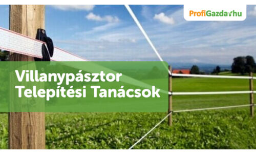 Villanypásztor Telepítési Tanácsok