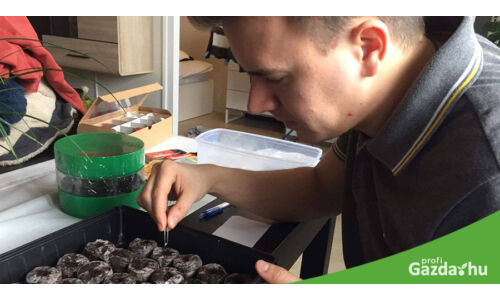 Mikor megérint a tavasz első napsugara… (második rész)