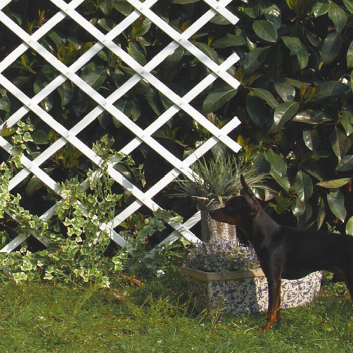 Nortene Trelliflex  térelválasztó, futtató