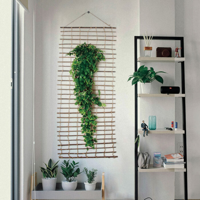 Climbawick növényfal tartó dekoratív létra 200 x 50 cm