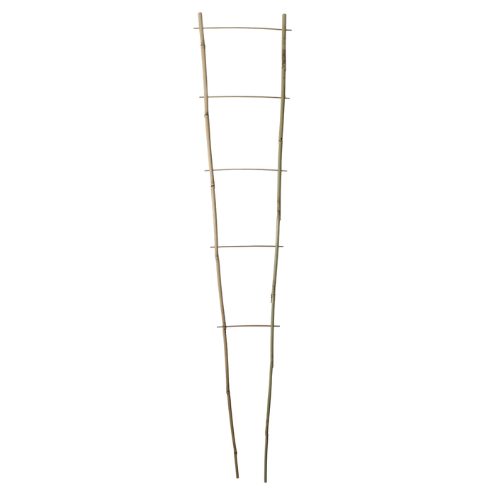 Nortene Echelle bamboo, bambusz növénylétra 120x25 cm