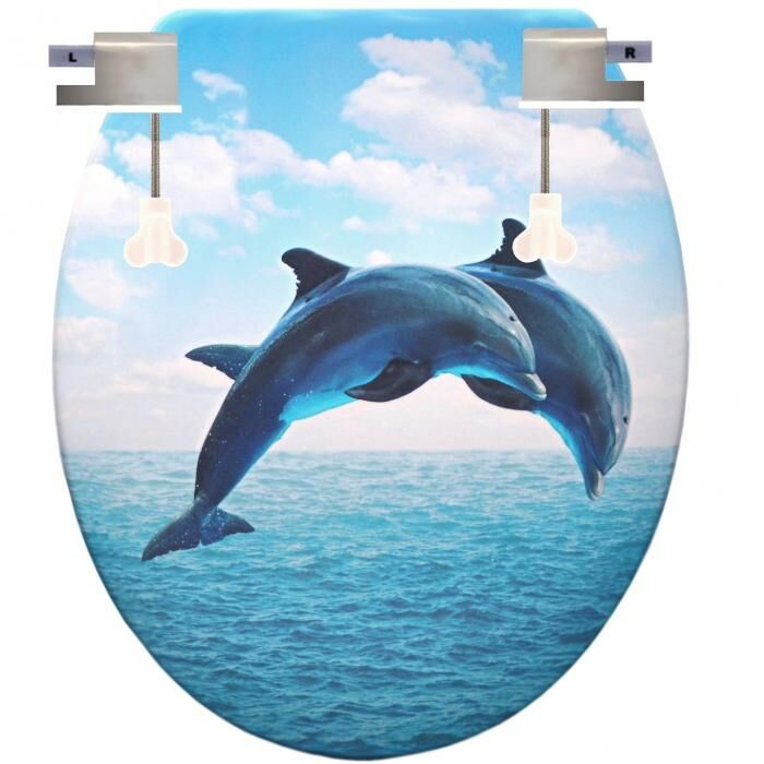 Kék delfines wc tető