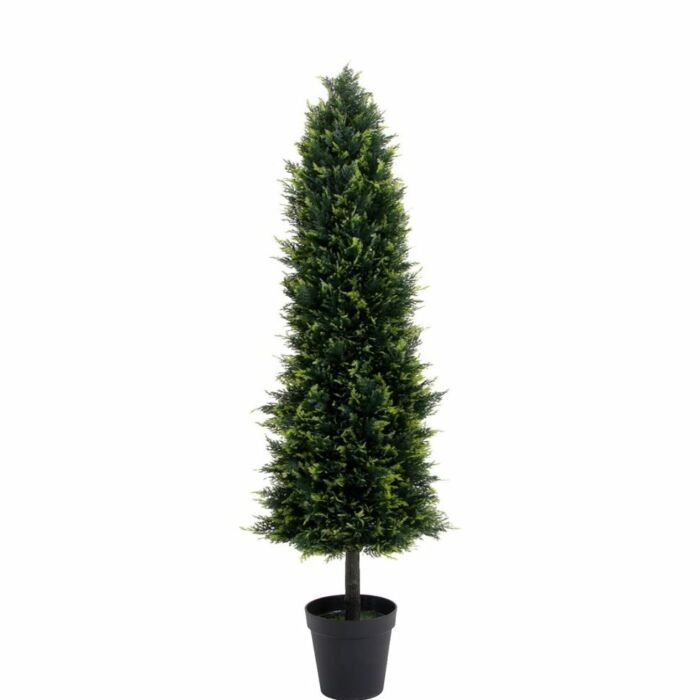 Élethű Smaragd Tuja 180 cm