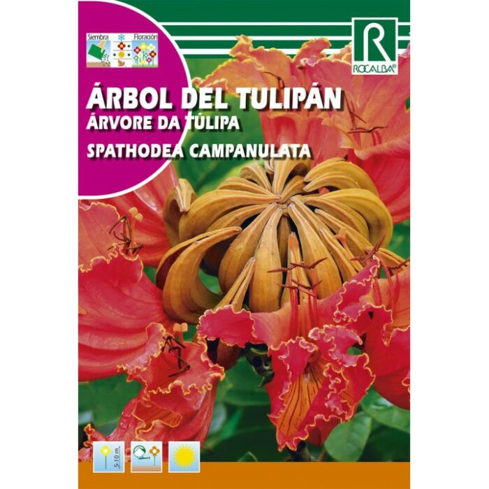 Rocalba Afrikai tulipánfa (Spathodea campanulata) 0,5 g