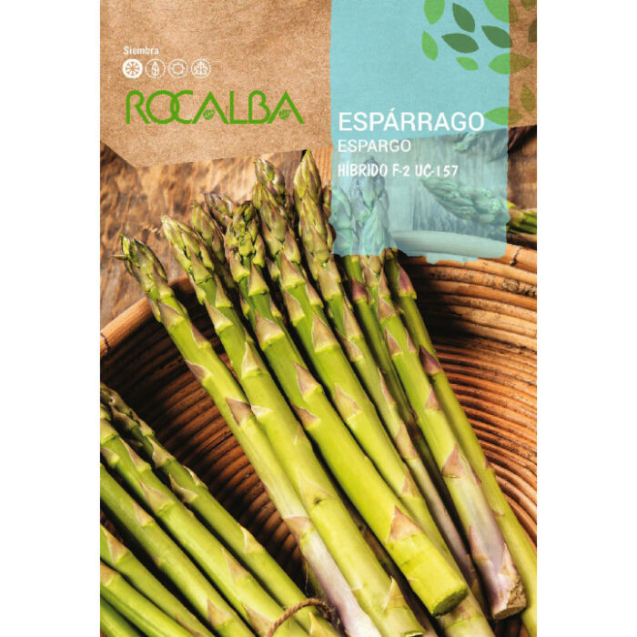 Rocalba Spárga zöld F-2 UC-157 