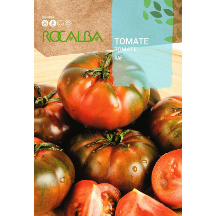 Rocalba Paradicsom Raf 