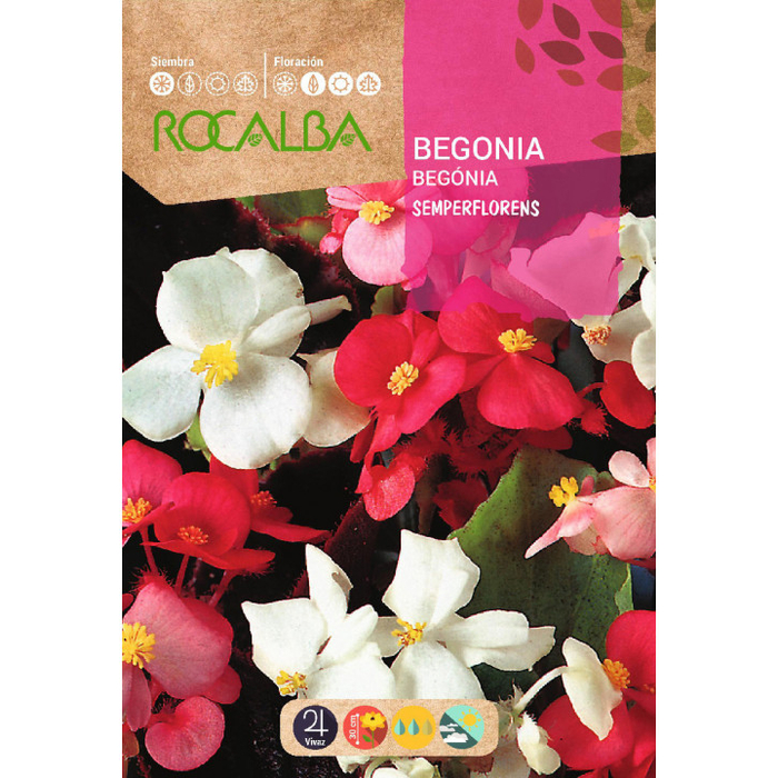 Rocalba Begónia Semperflorens 0,1 g