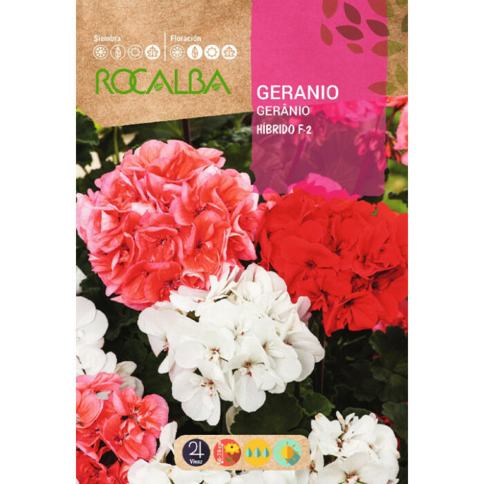 Rocalba Muskátli F2 hibrid 