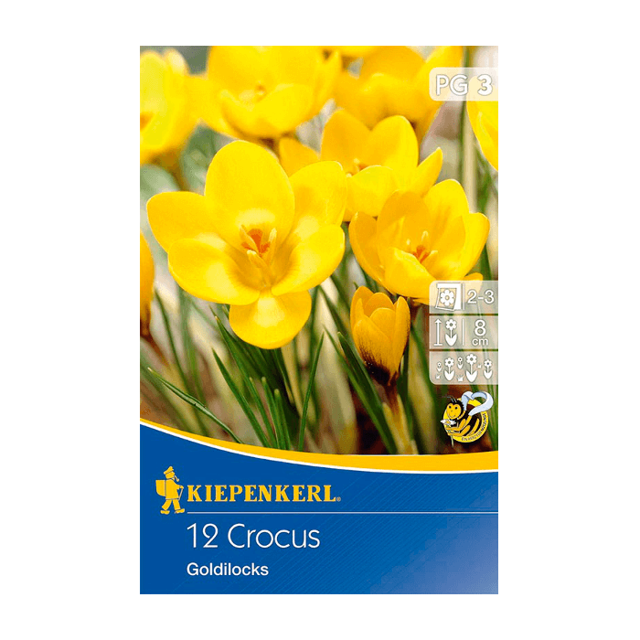 Kiepenkerl Goldilocks Krókusz hagyma botanikai,  12 db