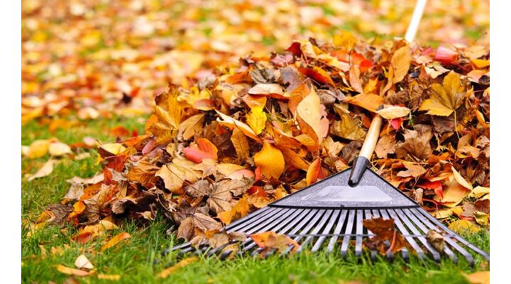 Itt van az Ősz itt van újra