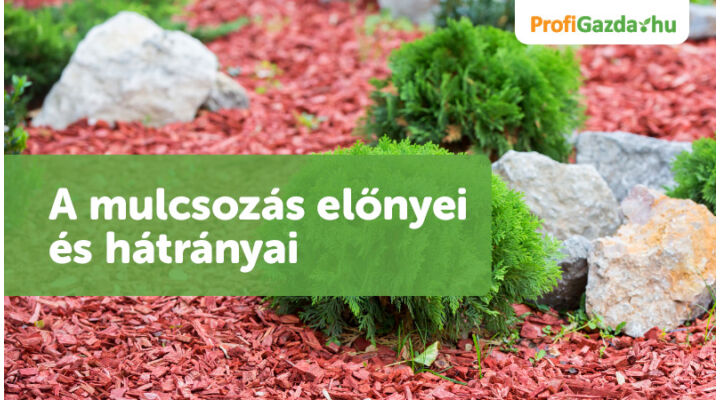 A kerti mulcsozás előnyei és hátrányai: Kinek ajánlott és kinek nem?